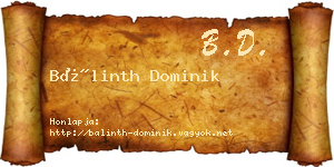 Bálinth Dominik névjegykártya